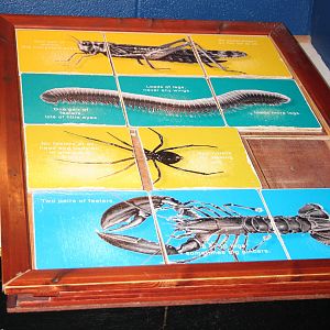 Completed slider puzzle