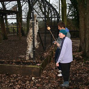 Snow leopard target training