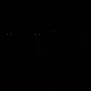 Sewerby Hall and Gardens, the night has a thousand eyes 25th December 2012