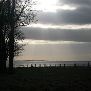 Sewerby Hall and Gardens,clifftop paddock with sea behind 26th December 201