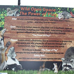 Wild Open Play Space Sign