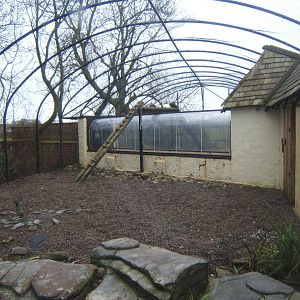 View of Snow Leopard enclosure