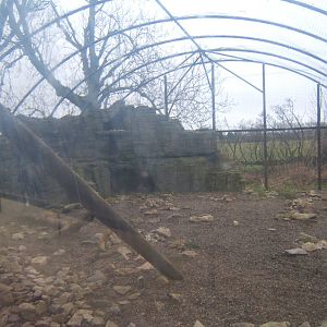 View of Snow Leopard enclosure