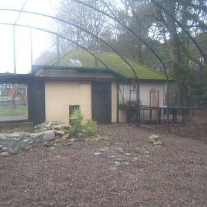 View of Snow Leopard enclosure