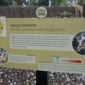Masai giraffe sign