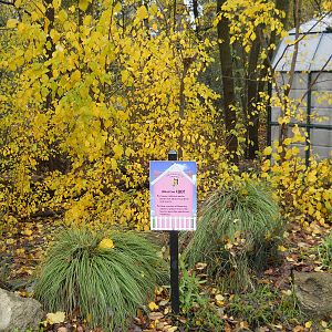 Backyard wildlife habitat demonstration garden