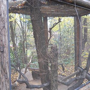 Burrowing owl exhibit