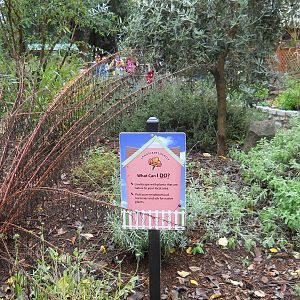 Backyard wildlife habitat demonstration garden