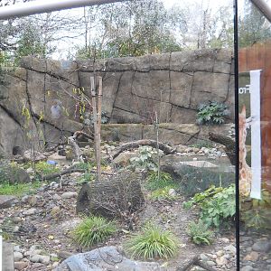 North American river otter exhibit