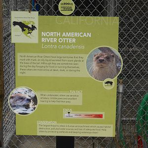 North American river otter interpretive sign