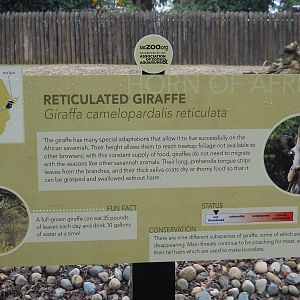 Reticulated giraffe interpretive sign