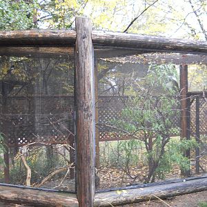 Yellow-billed magpie exhibit