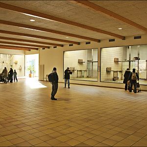 Monkey house at Berlin Tierpark