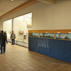 Monkey house at Berlin Tierpark