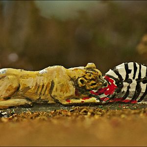 Tin lion at Berlin Tierpark