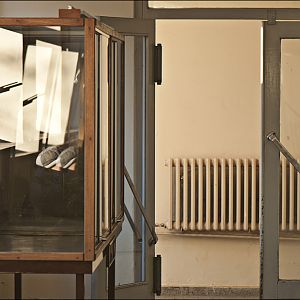 Empty rodent-cage at Berlin Tierpark