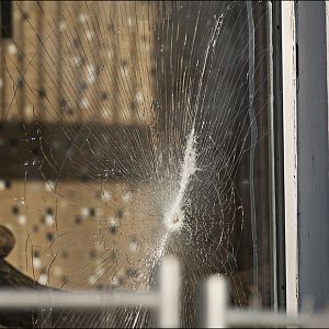 Small cat exhibit at Berlin Tierpark