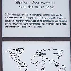 Montana puma sign at Berlin Tierpark