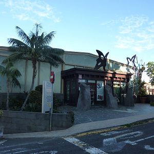 Mariposario exterior, December 2012