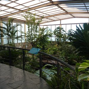 Free-flight hall, December 2012