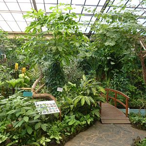 Free-flight hall, December 2012