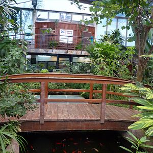 Free-flight hall, December 2012