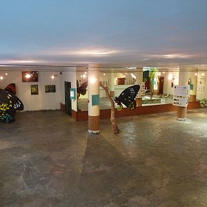 Education hall, December 2012