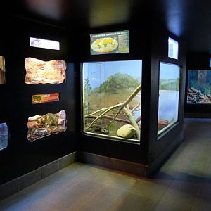 reptile house interior