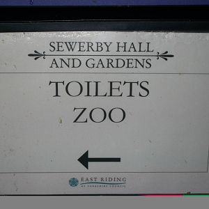 Sewerby Hall and Gardens, final photos of the year 31st December 2012