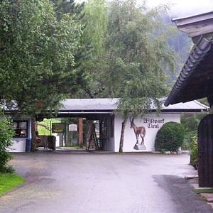 Wildpark Tirol in Aurach Entrance 2004