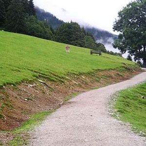 Wildpark Tirol in Aurach walkthrough enclosure 2004