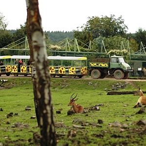 Monde Sauvage in Deigne - Aywaille (B) 2007
