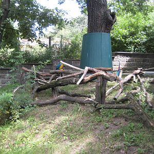 Macaw Exhibit