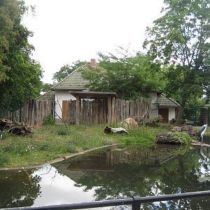 Giant anteater Exhibit