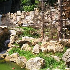 Alpenzoo Innsbrück (AT) Bear 2004