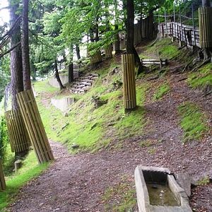 Alpenzoo Innsbrück (AT) Moose 2004