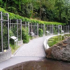 Alpenzoo Innsbrück (AT) Birds 2004