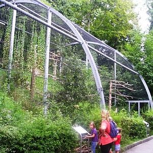 Alpenzoo Innsbrück (AT) Aviary 2004