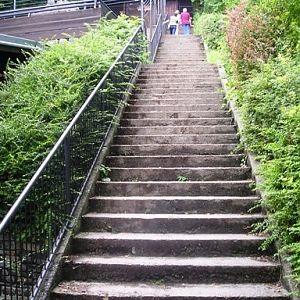 Alpenzoo Innsbrück (AT) 2004