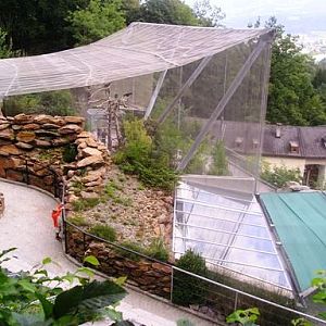 Alpenzoo Innsbrück (AT) Ibis 2004