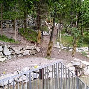 Alpenzoo Innsbrück (AT) bison 2004