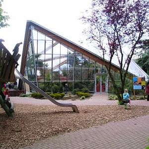 Avifauna in Alpen a/d Rijn (NL) 'Lori landing' around 2006