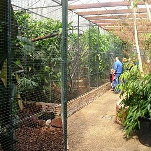 Avifauna in Alpen a/d Rijn (NL) 'Martinushal' around 2006