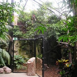 Avifauna in Alpen a/d Rijn (NL) 'Martinushal' around 2006