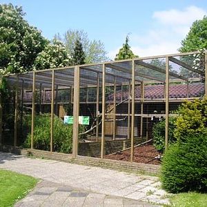 Avifauna in Alpen a/d Rijn (NL) Hornbills around 2006