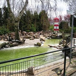 Avifauna in Alpen a/d Rijn (NL) Penguins around 2006