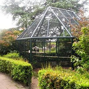 Avifauna in Alpen a/d Rijn (NL) Vulture around 2006