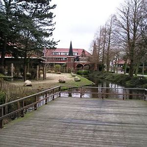 Avifauna in Alpen a/d Rijn (NL) Ostrich around 2006
