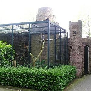 Avifauna in Alpen a/d Rijn (NL) Owls around 2006