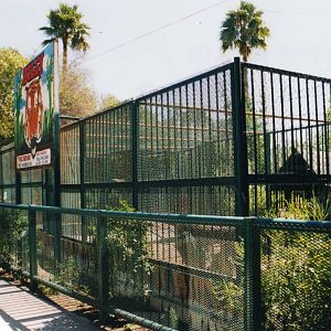 Tiger cage